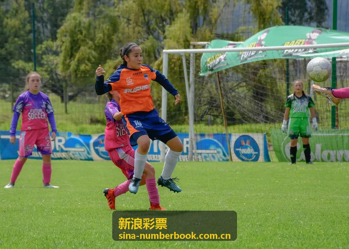 新浪彩票大乐透开奖公告封面